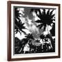 Towering Palms-Malcolm Sanders-Framed Giclee Print