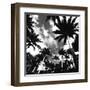 Towering Palms-Malcolm Sanders-Framed Giclee Print