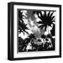 Towering Palms-Malcolm Sanders-Framed Giclee Print