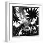 Towering Palms-Malcolm Sanders-Framed Giclee Print