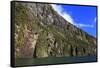 Towering Peaks and Narrow Gorge of Milford Sound on the South Island of New Zealand-Paul Dymond-Framed Stretched Canvas