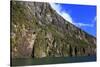 Towering Peaks and Narrow Gorge of Milford Sound on the South Island of New Zealand-Paul Dymond-Stretched Canvas