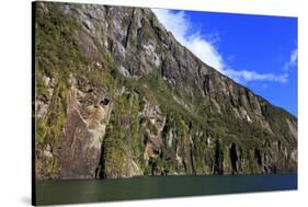 Towering Peaks and Narrow Gorge of Milford Sound on the South Island of New Zealand-Paul Dymond-Stretched Canvas