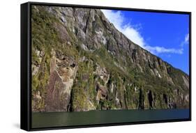 Towering Peaks and Narrow Gorge of Milford Sound on the South Island of New Zealand-Paul Dymond-Framed Stretched Canvas