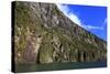 Towering Peaks and Narrow Gorge of Milford Sound on the South Island of New Zealand-Paul Dymond-Stretched Canvas