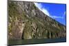 Towering Peaks and Narrow Gorge of Milford Sound on the South Island of New Zealand-Paul Dymond-Mounted Photographic Print