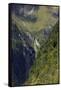 Towering Peaks and Narrow Gorge of Milford Sound on the South Island of New Zealand-Paul Dymond-Framed Stretched Canvas