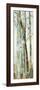 Towering Trees I-Allison Pearce-Framed Art Print