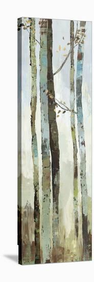 Towering Trees II-Allison Pearce-Stretched Canvas