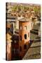 Towers and Roofs in Old Lyon-Massimo Borchi-Stretched Canvas