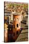 Towers and Roofs in Old Lyon-Massimo Borchi-Stretched Canvas