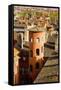 Towers and Roofs in Old Lyon-Massimo Borchi-Framed Stretched Canvas