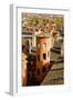 Towers and Roofs in Old Lyon-Massimo Borchi-Framed Photographic Print