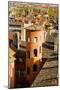 Towers and Roofs in Old Lyon-Massimo Borchi-Mounted Photographic Print