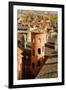 Towers and Roofs in Old Lyon-Massimo Borchi-Framed Photographic Print