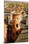 Towers and Roofs in Old Lyon-Massimo Borchi-Mounted Photographic Print