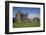 Towers and Wall Inside Llansteffan Castle, Llansteffan, Carmarthenshire, Wales, United Kingdom-Julian Pottage-Framed Photographic Print