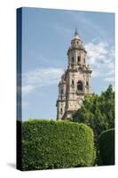 Towers of Baroque Cathedral-null-Stretched Canvas