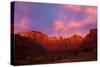 Towers of the Virgin at Sunrise-nstanev-Stretched Canvas