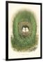 Towhee Bunting Nest and Eggs-null-Framed Art Print