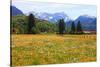 Town against Zugspitze Mountains, Ohlstadt, Upper Bavaria, Bavaria, Germany-null-Stretched Canvas