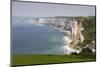 Town and Cliffs, Elevated View, Yport, Normandy, France-Walter Bibikow-Mounted Photographic Print