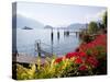 Town and Lakeside, Menaggio, Lake Como, Lombardy, Italian Lakes, Italy, Europe-Frank Fell-Stretched Canvas