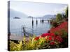 Town and Lakeside, Menaggio, Lake Como, Lombardy, Italian Lakes, Italy, Europe-Frank Fell-Stretched Canvas