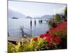 Town and Lakeside, Menaggio, Lake Como, Lombardy, Italian Lakes, Italy, Europe-Frank Fell-Mounted Photographic Print