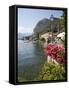 Town and Lakeside, Menaggio, Lake Como, Lombardy, Italian Lakes, Italy, Europe-Frank Fell-Framed Stretched Canvas