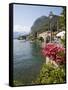 Town and Lakeside, Menaggio, Lake Como, Lombardy, Italian Lakes, Italy, Europe-Frank Fell-Framed Stretched Canvas