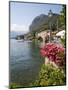 Town and Lakeside, Menaggio, Lake Como, Lombardy, Italian Lakes, Italy, Europe-Frank Fell-Mounted Photographic Print