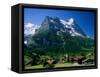 Town and Mountains, Grindelwald, Alps, Switzerland-Steve Vidler-Framed Stretched Canvas