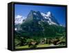 Town and Mountains, Grindelwald, Alps, Switzerland-Steve Vidler-Framed Stretched Canvas