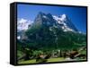 Town and Mountains, Grindelwald, Alps, Switzerland-Steve Vidler-Framed Stretched Canvas