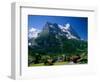 Town and Mountains, Grindelwald, Alps, Switzerland-Steve Vidler-Framed Photographic Print