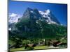 Town and Mountains, Grindelwald, Alps, Switzerland-Steve Vidler-Mounted Photographic Print