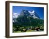 Town and Mountains, Grindelwald, Alps, Switzerland-Steve Vidler-Framed Photographic Print