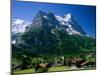 Town and Mountains, Grindelwald, Alps, Switzerland-Steve Vidler-Mounted Photographic Print