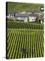 Town and Vineyards, Oger, Champagne Region, Marne, France-Walter Bibikow-Stretched Canvas