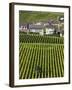 Town and Vineyards, Oger, Champagne Region, Marne, France-Walter Bibikow-Framed Photographic Print