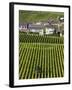 Town and Vineyards, Oger, Champagne Region, Marne, France-Walter Bibikow-Framed Photographic Print