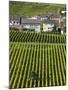 Town and Vineyards, Oger, Champagne Region, Marne, France-Walter Bibikow-Mounted Photographic Print