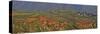 Town Below in the Red Lands of Dongchuan, Kunming Region China-Darrell Gulin-Stretched Canvas