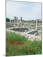 Town Built for Octavia Over the Assassins of Julius Caesar in 42 Bc, Philippi (Filipi), Greece-Tony Gervis-Mounted Photographic Print