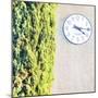 Town Clock with Cypress Tree-Tosh-Mounted Art Print