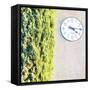 Town Clock with Cypress Tree-Tosh-Framed Stretched Canvas