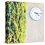 Town Clock with Cypress Tree-Tosh-Stretched Canvas