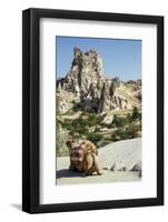 Town Gšreme, Tufa Caves-Bluehouseproject-Framed Photographic Print