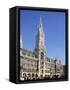 Town Hall, Munich, Bavaria, Germany-Peter Scholey-Framed Stretched Canvas